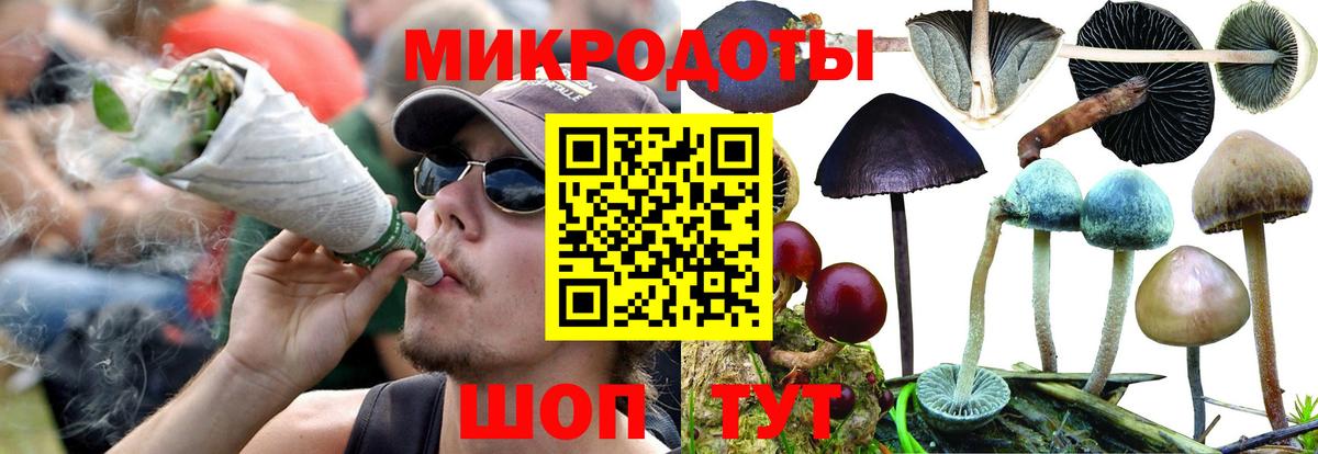 Псилоцибиновые грибы Таганрог