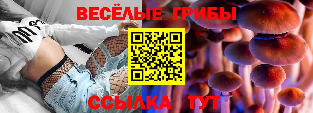 Псилоцибиновые грибы ЛСД  Псилоцибиновые грибы GOLDEN TEACHER  Таганрог  Вход с VPN 